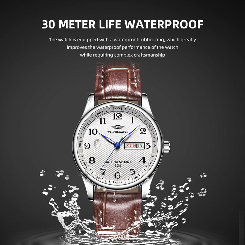 WLISTH العلامة التجارية الفاخر - مراجعة Luxury Watch Maker وسعره